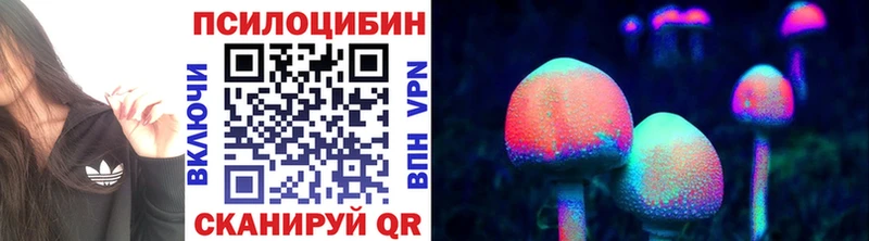 Купить закладки Новозыбков Псилоцибиновые грибы MAGIC MUSHROOMS