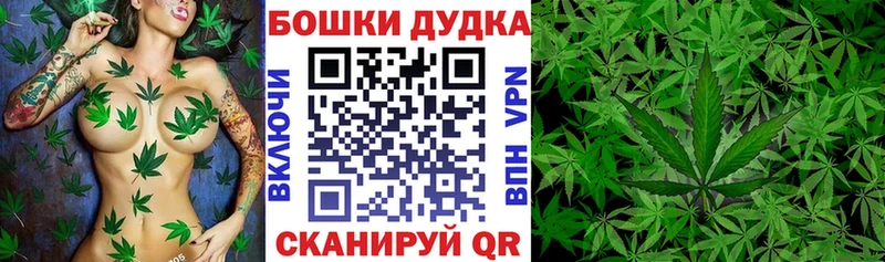 Купить где  Новозыбков  Канабис THC 21% 